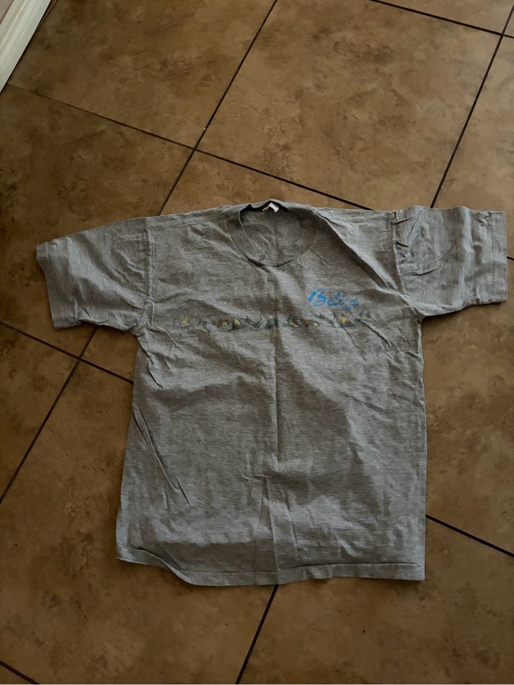 Gray Graphic Tee with Blue Script